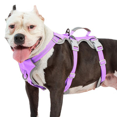 Huntboo Escape Proof Harness front view shows secure fit with reflective safety for night walks.