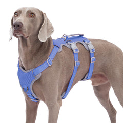 Huntboo escape-proof harness front view with reflective trim for safer daytime walks.
