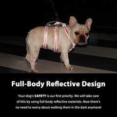 Huntboo Escape Proof Harness padded handle allows quick grip during obstacle help.