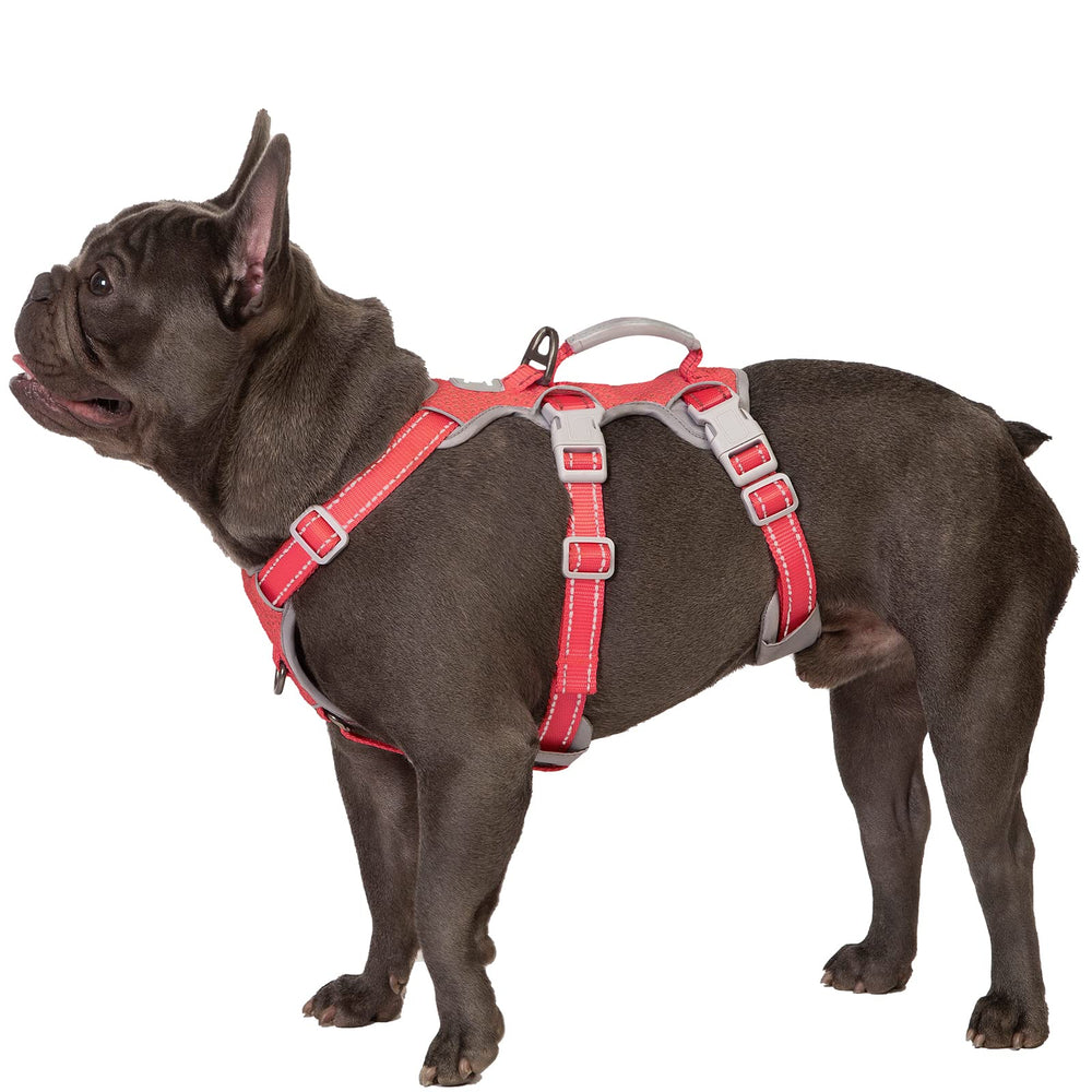 Huntboo Escape Proof Harness hero view showing secure fit for confident outdoor walks