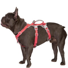 Huntboo Escape Proof Harness hero view showing secure fit for confident outdoor walks