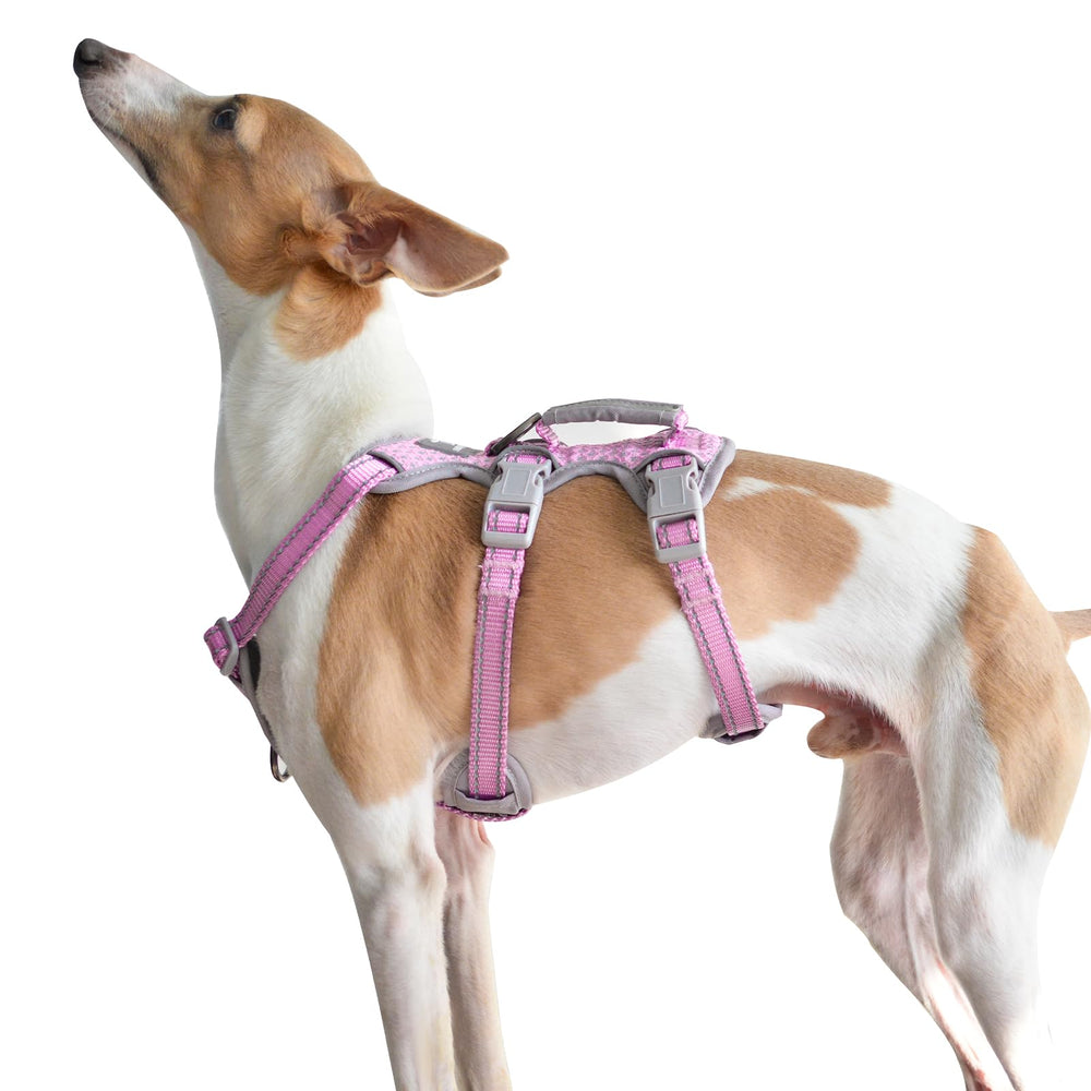 Huntboo Escape Proof Harness pink front view for secure daily walks with confident handling