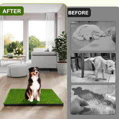 HURENTEK dog potty grass closeup, soft texture for comfortable routines.