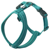 Hurtta Casual ECO Dog Y-Harness peacock front view showing adjustable fit and reflectivity for nighttime walks