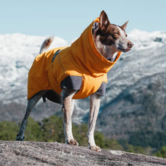 Hurtta Expedition Parka Buckthorn back view demonstrates mobility for running and playing in cold.