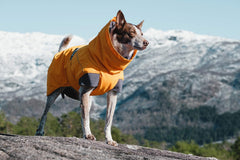 Hurtta Expedition Parka Buckthorn sleeve detail highlights protective coverage for short-haired dogs.