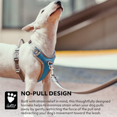 Hurtta Venture No-Pull Harness Bilberry side profile with adjustable neck and chest fit