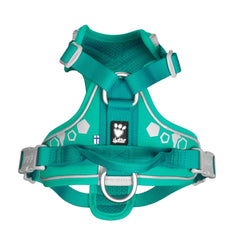 Hurtta Weekend Warrior harness Peacock chest buckle close-up enabling easy on, no leg lifting.