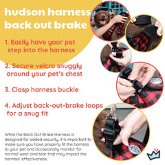 Huxley & Kent Hudson blue harness shows two D-rings for added control.