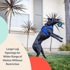 Huxley & Kent Hudson blue harness available in five sizes to fit growing dogs.