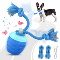 HVUATQ dog ball blue front view promotes active play and mental stimulation.