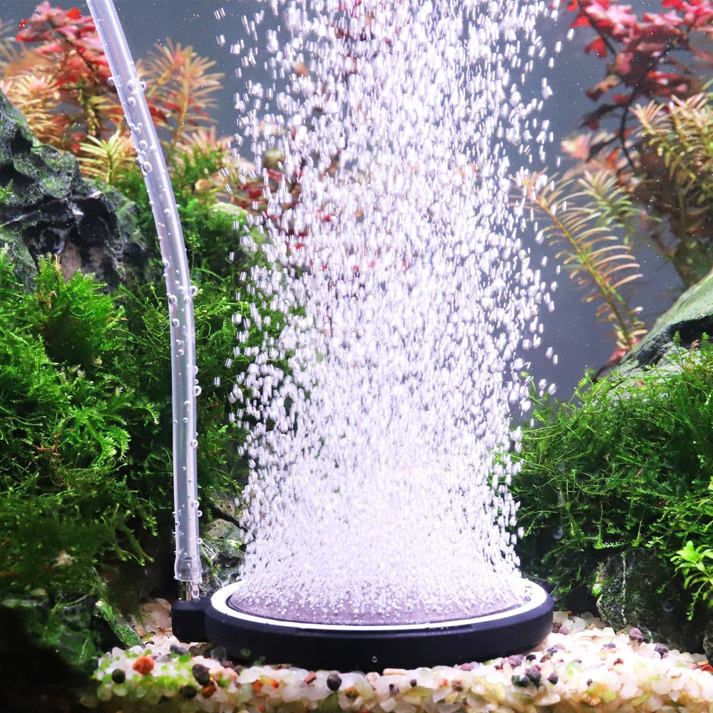 Hygger air stone bubble diffuser in action delivering fine bubbles for efficient aeration