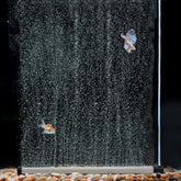 Hygger Aquarium Bubble Strip front view shows quiet diffusion for healthier aquariums