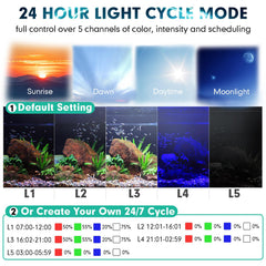 Hygger aquarium light demonstrating 24/7 mode in a compact setup