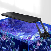 Hygger Clip-On Sunrise LED with dawn glow for coral viewing