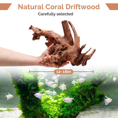 Hygger CO2 coral driftwood texture closeup showing organic detail for aquascaping.