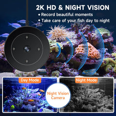Hygger WiFi feeder camera-view shows 2k HD monitoring of tank activity.