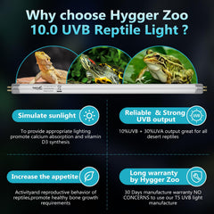 Hygger Zoo long-life desert engine offers extended UVB life across enclosures.