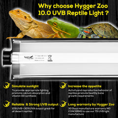 Hygger Zoo T5 UVB 10.0 output image showing UVB rays for reptile illumination and health.