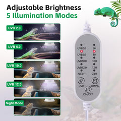 Hygger zoo UVB light curved reflector concentrates rays for stronger basking UVB.