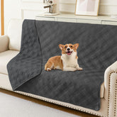 hyha waterproof-dog-blanket-52x82 protects sofas from spills.