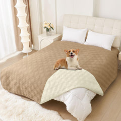 hyha waterproof dog blanket on sofa protects furniture from spills