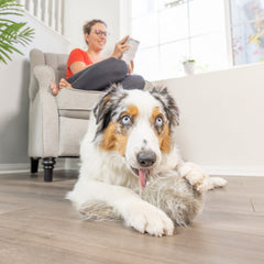 Hyper Pet Doggie Tail vibrating ball in motion stimulates active fetch and pursuit
