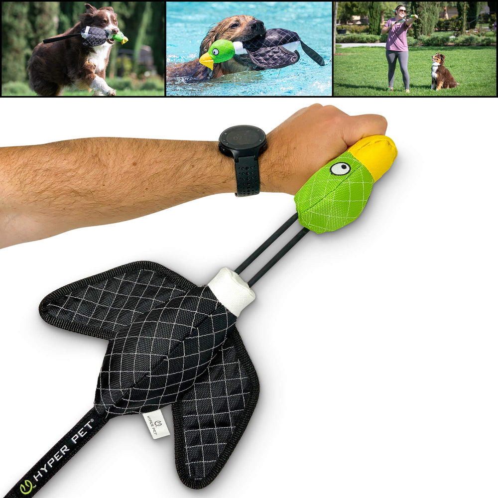 Hyper Pet Flying Duck slingshot throw demonstrates long-range fetch for active dogs.