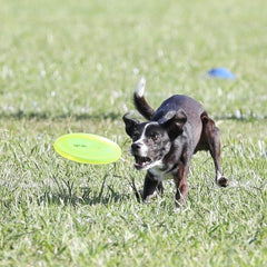 Hyperflite Pup Jawz yellow disc dual grip surfaces improve control during throws