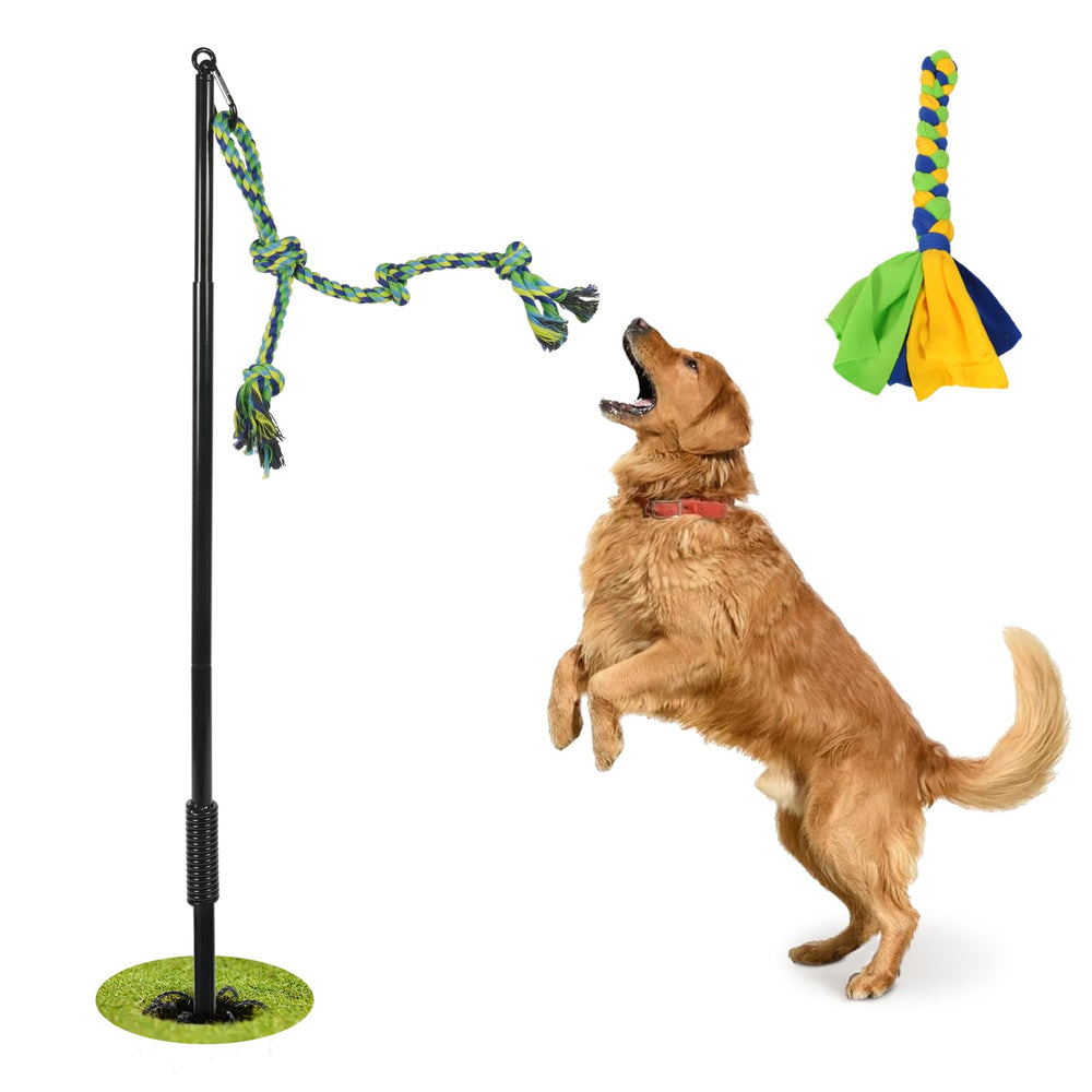 IAIGOGO outdoor dog toy pull shows interactive play for energetic dogs in the yard.