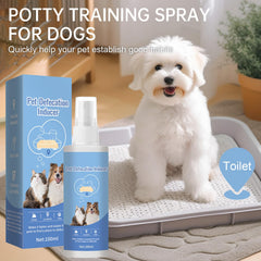 iALTERLL Dog Potty Training Spray indoors guides dogs to designated potty spots.