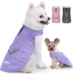 iBuddy dog winter coat back view showing secure fit for small dogs in cold walks