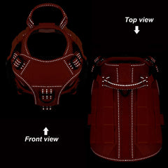 Icefang GN1 small orange harness back view with MOLLE panels for gear.