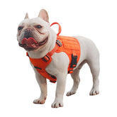Icefang GN1 small orange harness front view highlighting secure fit and reflective trim.