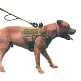ICEFANG GN1 harness with reflective stitching improves nighttime visibility during walks.
