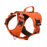 IceFang GN8 orange harness front view for improved control on daily walks