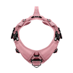 ICEFANG GN8 pink harness patch panel close-up illustrating identification patches