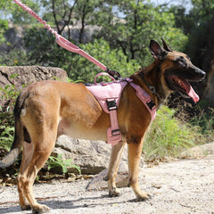 ICEFANG GN8 pink harness side view highlighting adjustable fit and reflective safety