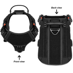 ICEFANG MOLLE compatibility panel highlights gear expansion for training and outdoor adventures