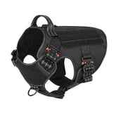 ICEFANG tactical dog harness front view shows sturdy build for daily training
