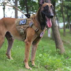 ICEFANG tactical dog harness handle close-up demonstrates control point for safe walking