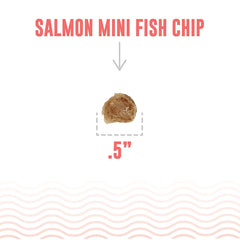Icelandic+ sustainable ingredients photo — salmon and pollock, two-ingredient safety.