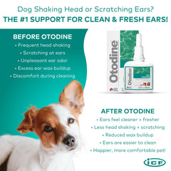 ICF Otodine wax and debris softening aids deeper cleaning.