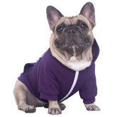 iChoue french bulldog hoodie closeup stitch detail for durability and comfort