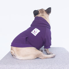 iChoue frenchie hoodie zipper closure shows easy on/off and clean look