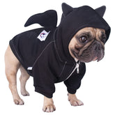 iChoue Bat Wing Dog Costume full outfit on a large plus dog for Halloween photos.