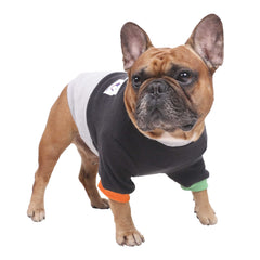 ichoue dog sweater color block pullover for winter warmth during walks