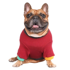 ichoue knitted warmth back view emphasizes cozy knit and sturdy fit for bulldogs