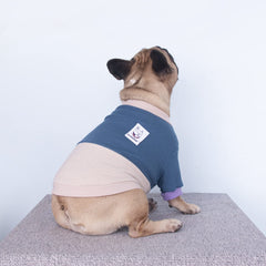 iChoue pet sweater color block lake blue back view shows seamless fit and durable stitching