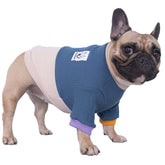 iChoue pet sweater color block lake blue front view demonstrates cozy warmth for chilly walks